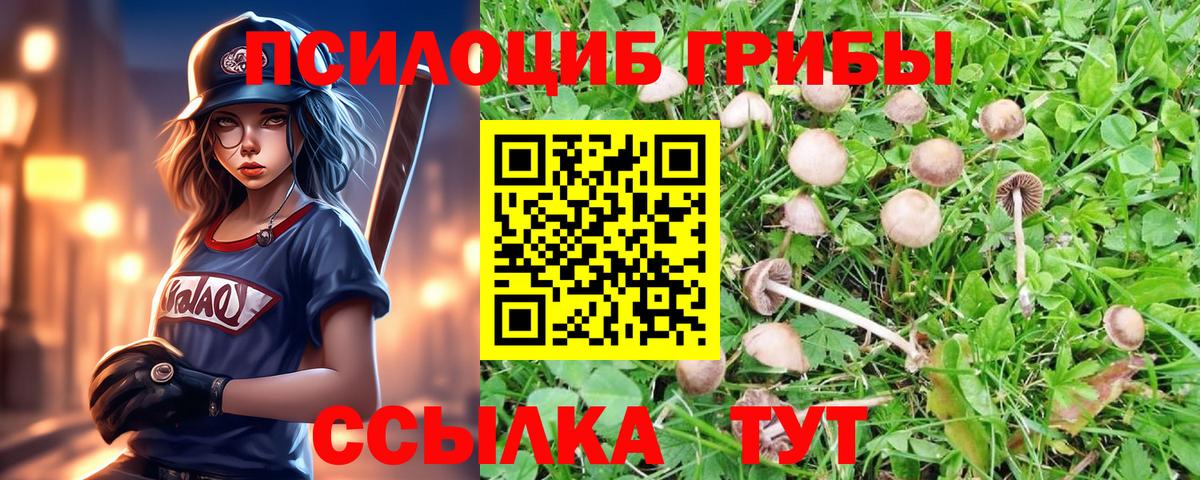 Галлюциногенные грибы ЛСД Нижний Новгород