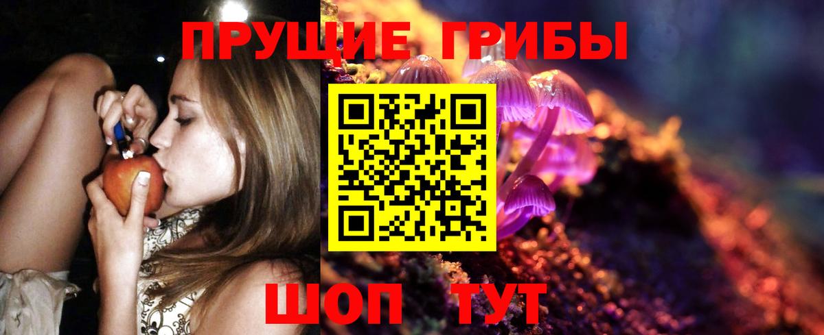 Нижний Новгород  Галлюциногенные грибы прущие грибы  Вход с VPN 